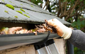 gutter cleaning Lower Place