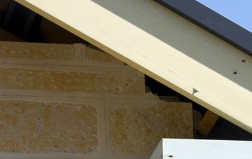 soffit repair Lower Place